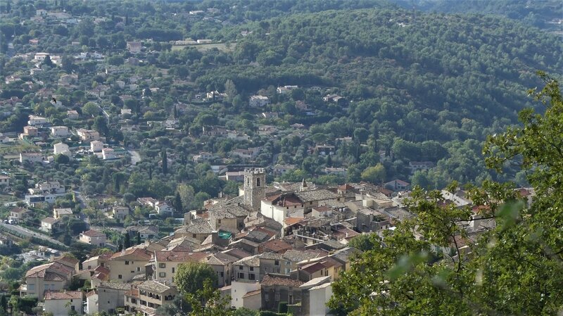 P1070371 (3)