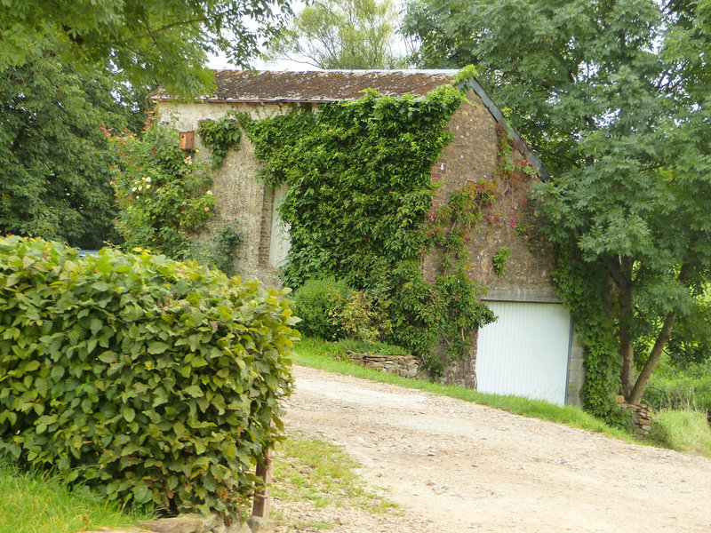 P1650992
