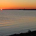 IMG_7028 - Copie