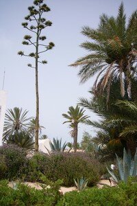 photos_mag_110