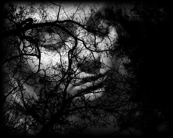 insomnie