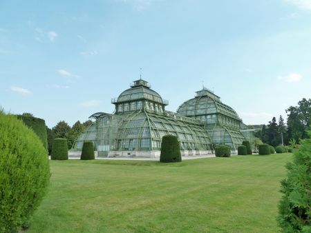 Schonbrunn___Serre___Copie__800x600_