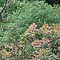 P1120758 (2)