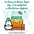 Vacances de monsieur pingouin - etape #9 : le pôle nord par sophfinette - lift de carte