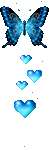 papillon_10