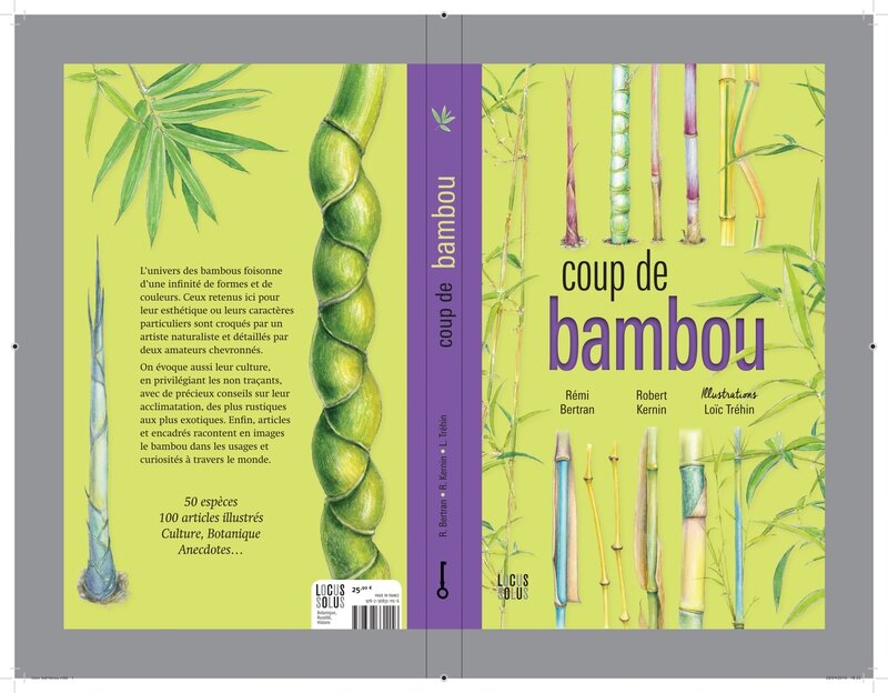 couverture recto verso 'Coup de Bambou'