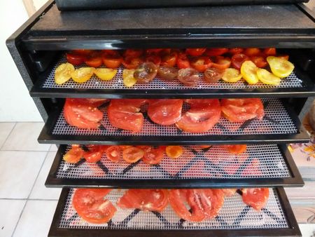 tomates séchées 2 (1)