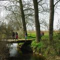 _IGP2782