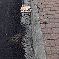 IMGP6625
