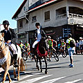 P1300290 (Copier)