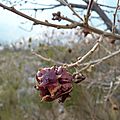 P1090281 - Copie