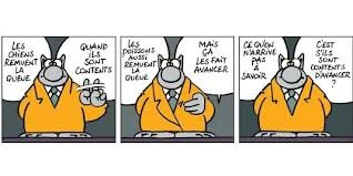 Le Chat Philippe Geluck 19 13 Les Caves Du Majestic