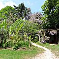 DSCN0399