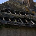 DSC08537