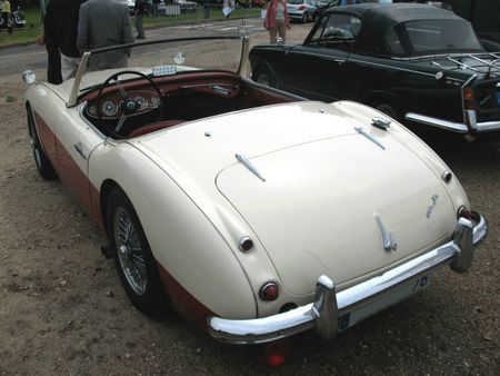AustinHealey100-6ar