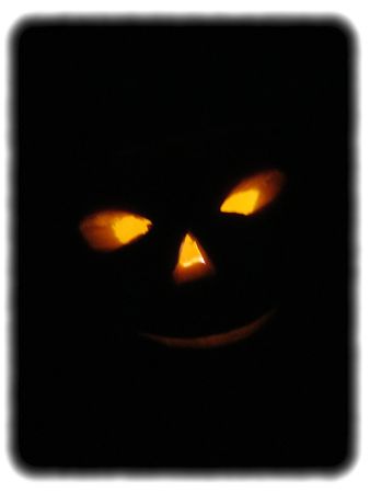 IMG_0311b