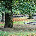 Parc de Branféré 1