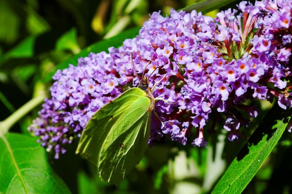 IMG_2013_07_30_3062_DxO