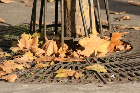 9_novembre_2007_521