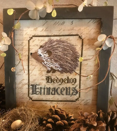 the hedgehog 2