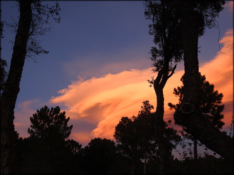 DSCN0902