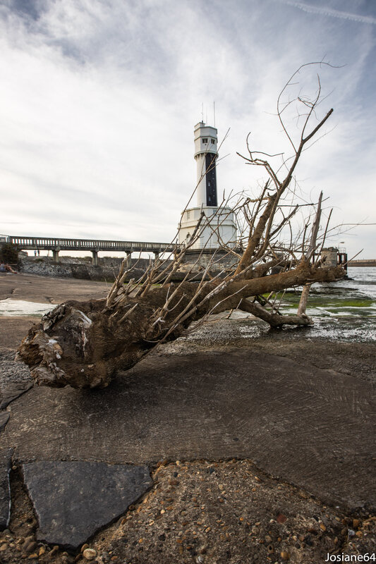13102018-_MG_4727