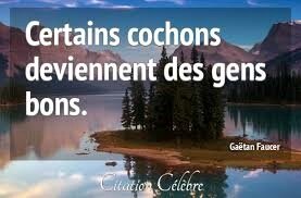 Citation Gaétan Faucer
