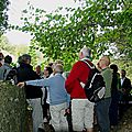 IMGP0015