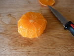 cocktail_d__crevisses__10_