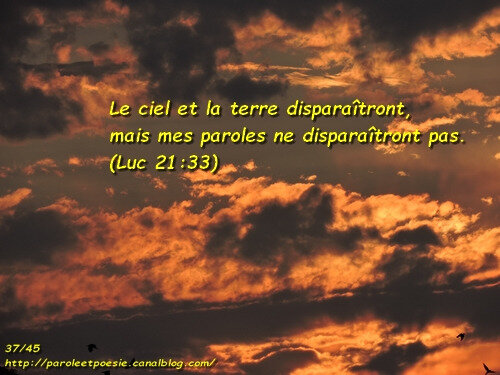 Luc 21:33 - Verset d'Or Pur - 37/45 - VOIS... ET VIENS