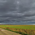 IMG_0023