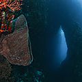 20151015-IMG_3011