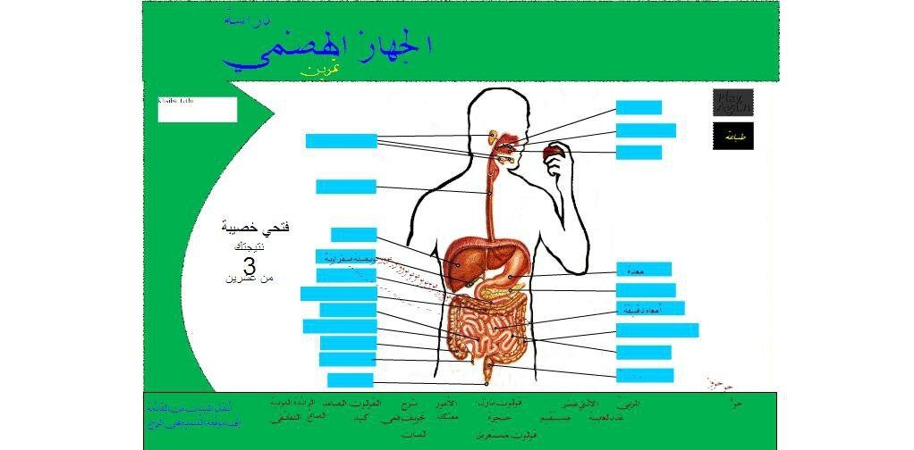 البنية التشريحية للجهاز الهضمي عند الانسان Anatomie Et Biologie En Flash