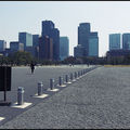 238-Ensemble-Vide-4