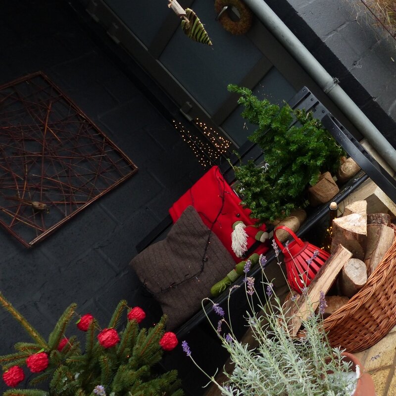 aaa suite et fin ambiance jardin noel 20177