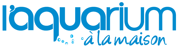 Logo Aquarium à la maison