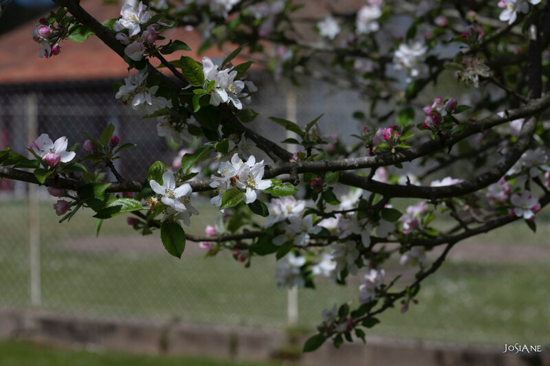 09042019-_MG_5195