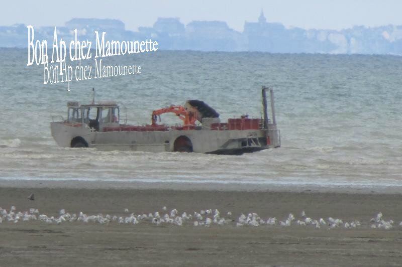 Baie du mt st Michel, moules du Vivier sur mer et chars à cherru 032