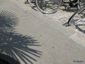 IMG_0018b