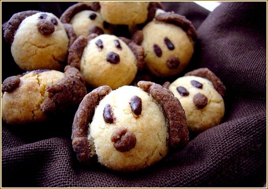 doggie biscuit