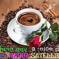 RADIO SATELLITE CAFE2