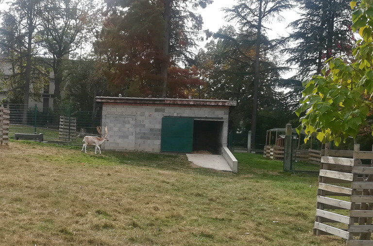 parce Labesse, 26 oct 2018 (5)