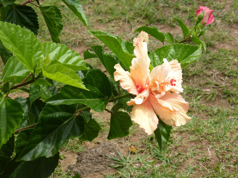 P1060791