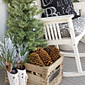 balcnoel&a&