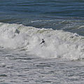 IMG_8123