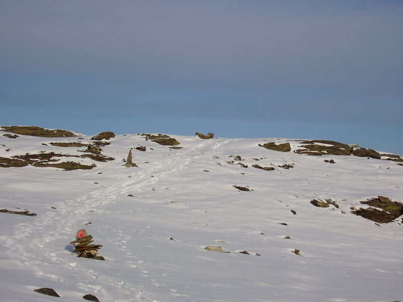 04-10-08 Tromsdalstind et neige (86)