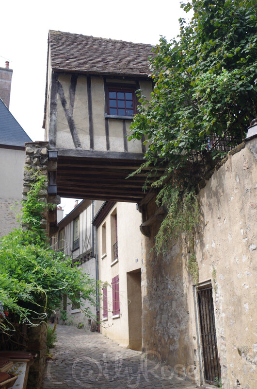 && maison suspendue (1)