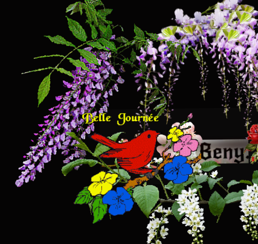 belle journ&
