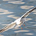 IMG_5211