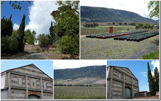 Leucate et les Corbières et le Mas Amiel2
